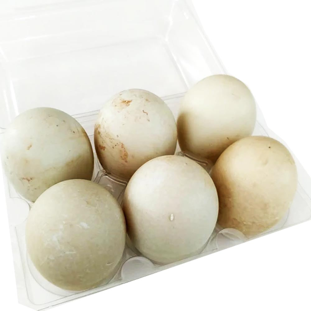 6-Pack Uncooked Balut Incubated Duck Eggs (14 - 21 Days) - Exotic Treat!