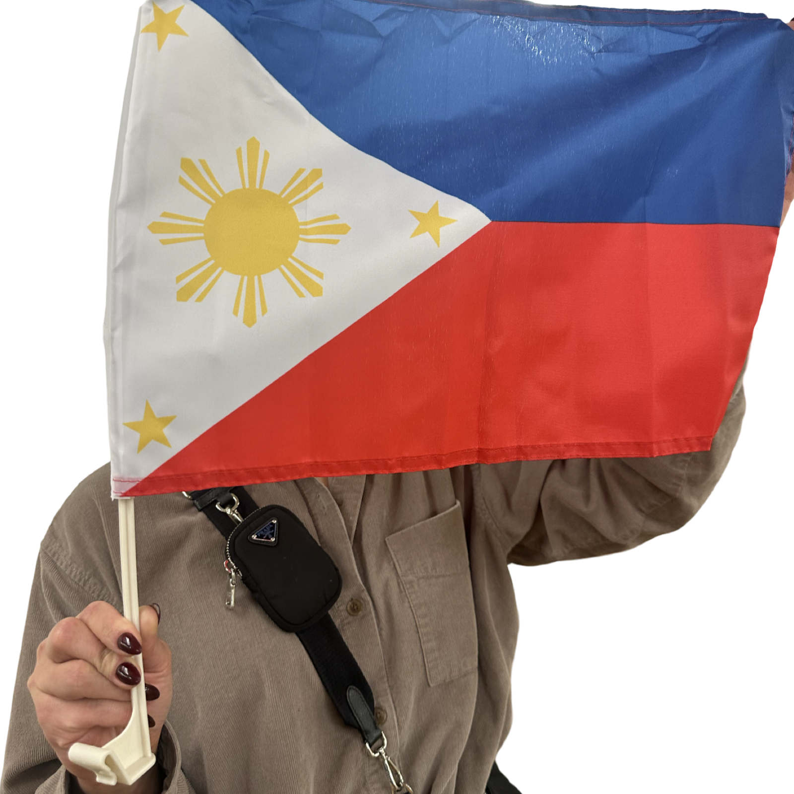 30x45 cm Polyester Printed Flag for Philippine Cars