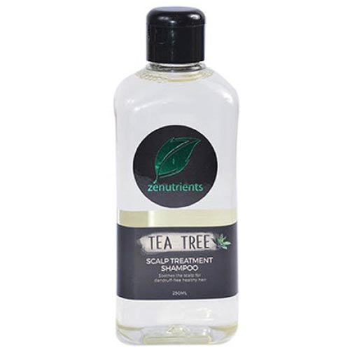 Zenutrients Tea Tree Scalp Care Treatment Shampoo - 250 ML