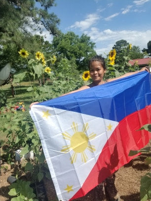 3x5 Ft (90x150 cm) Printed Polyester Flag of the Philippines