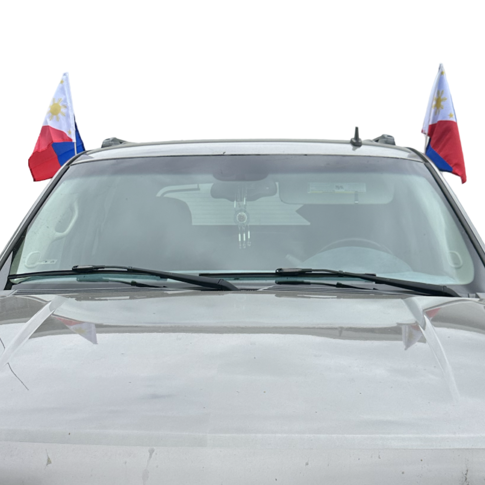 30x45 cm Polyester Printed Flag for Philippine Cars