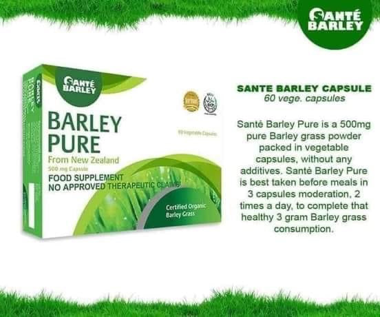 Certified Organic Sante Barley Capsules - 60 Count Pure Barley Grass